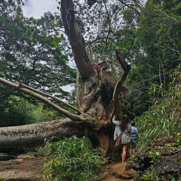 Meet your Posher, Miranda - Picture 3 of 3